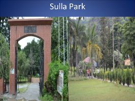Picnic At Sulla Park 